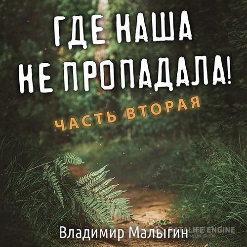 Постер к Владимир Малыгин - Где наша не пропадала! Часть 2 (Аудиокнига)