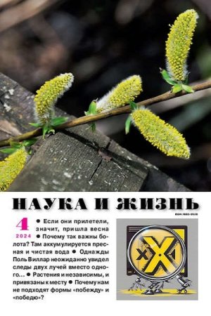Постер к Наука и жизнь №4 (апрель 2024)